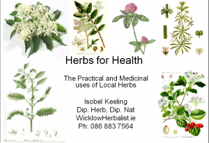 herbs-for-health-title-page